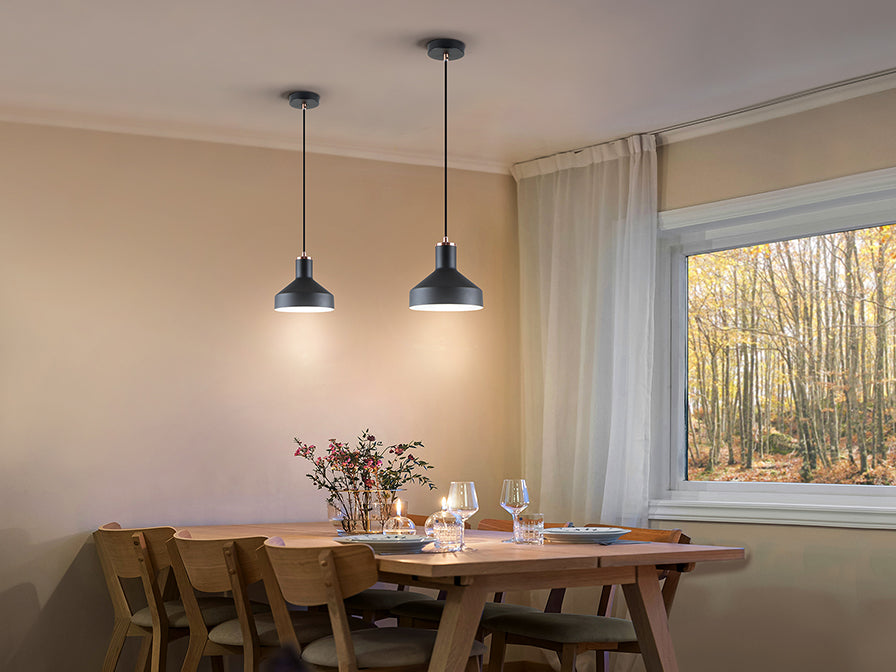 Lustra Schuller Irias 1 lumina negru-cupru