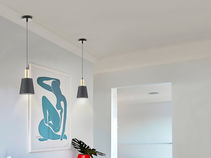 Lustra Schuller Gisela 1 lumina negru-alama