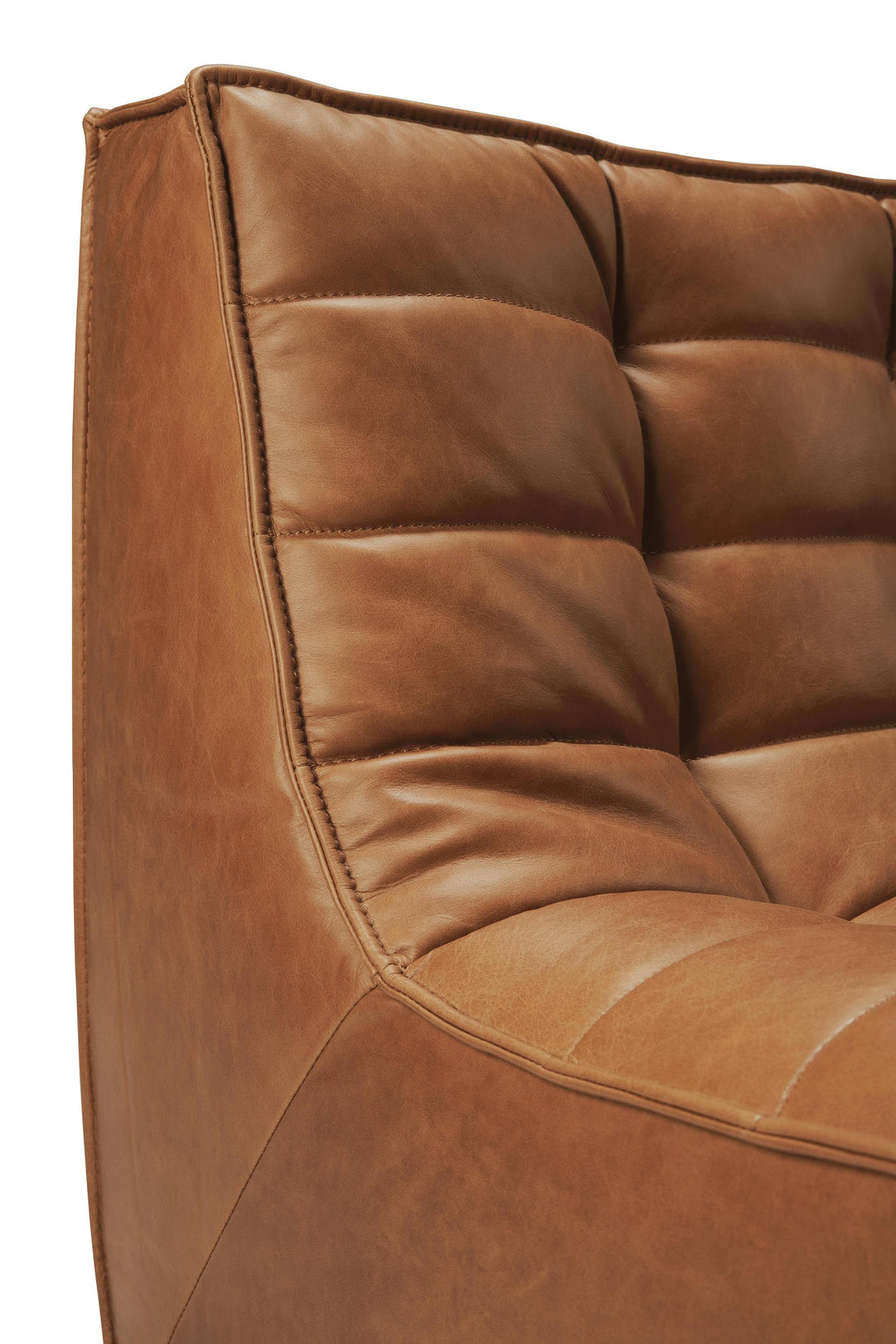 Canapea modulara Ethnicraft N701 piele
