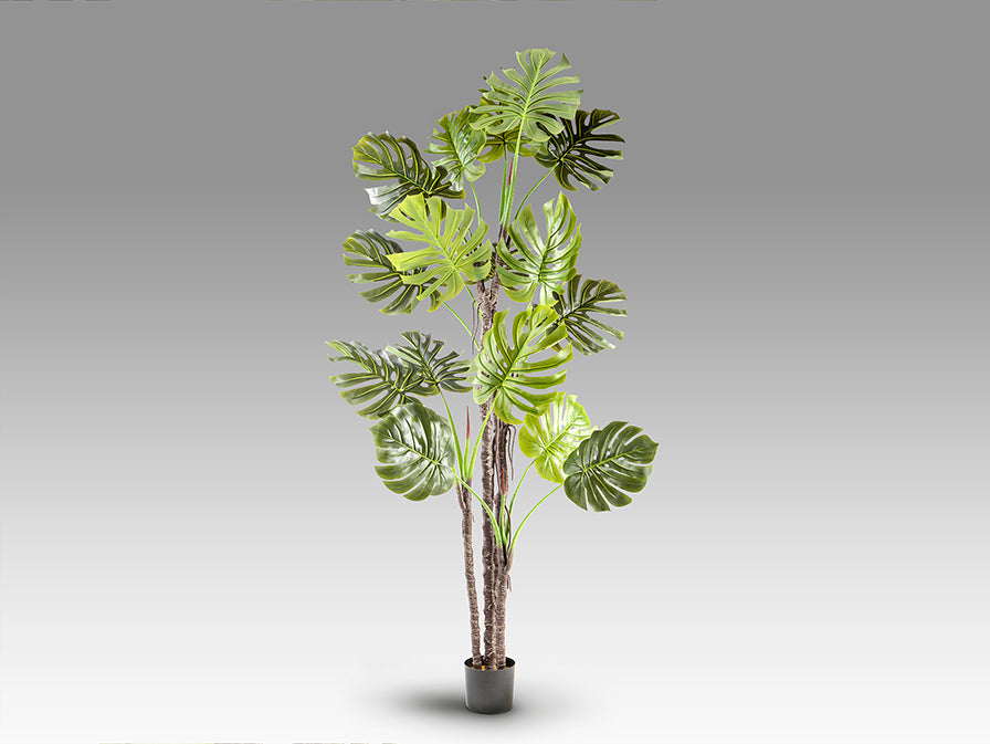 Planta artificiala Schuller Monstera