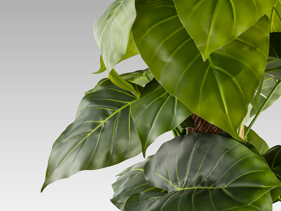 Planta artificiala Schuller Taro
