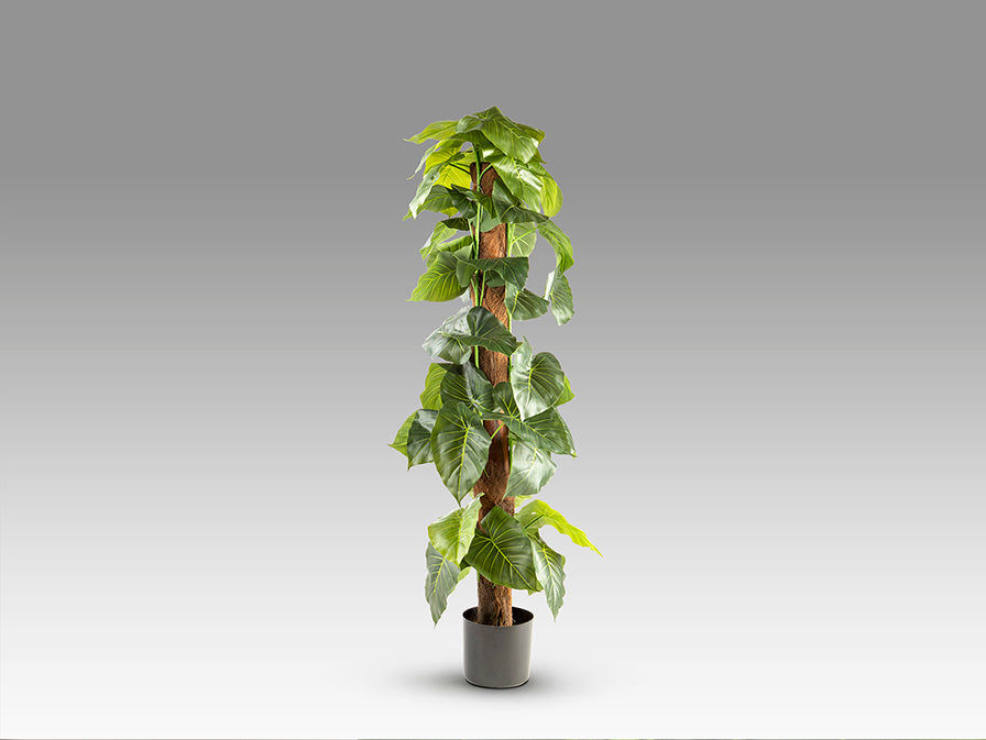 Planta artificiala Schuller Taro