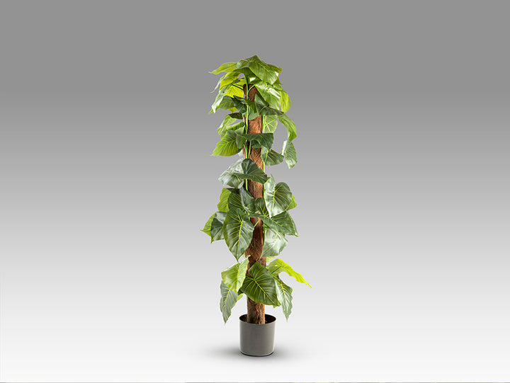 Planta artificiala Schuller Taro