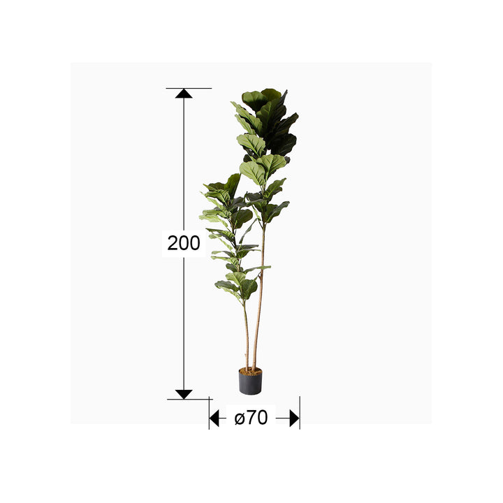 Planta artificiala Schuller Higuera violin