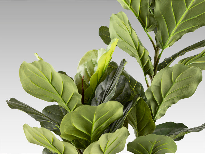 Planta artificiala Schuller Higuera violin