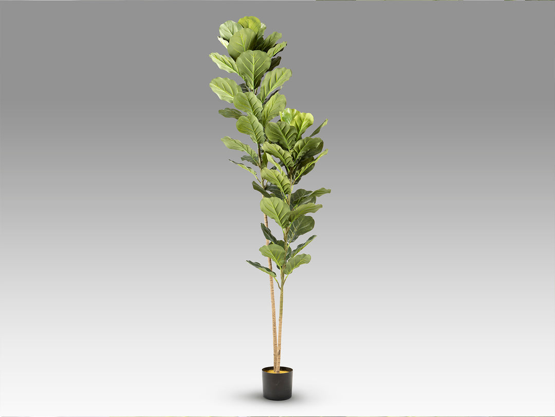 Planta artificiala Schuller Higuera violin