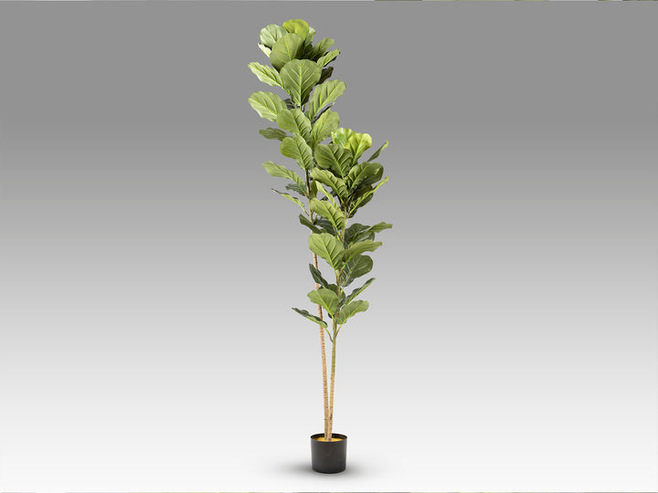 Planta artificiala Schuller Higuera violin