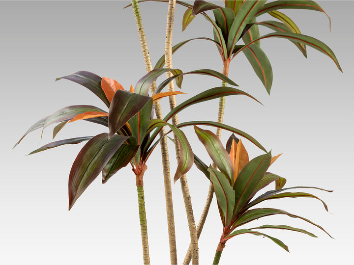 Planta artificiala Schuller Dracena roja