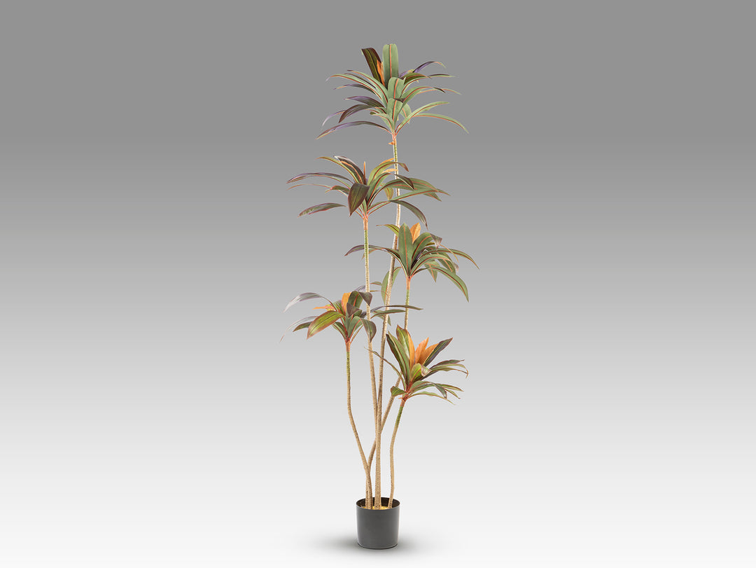 Planta artificiala Schuller Dracena roja
