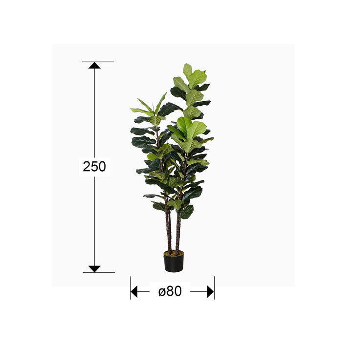 Planta artificiala Schuller Higuera Violin Ficus Lyrata 250 cm