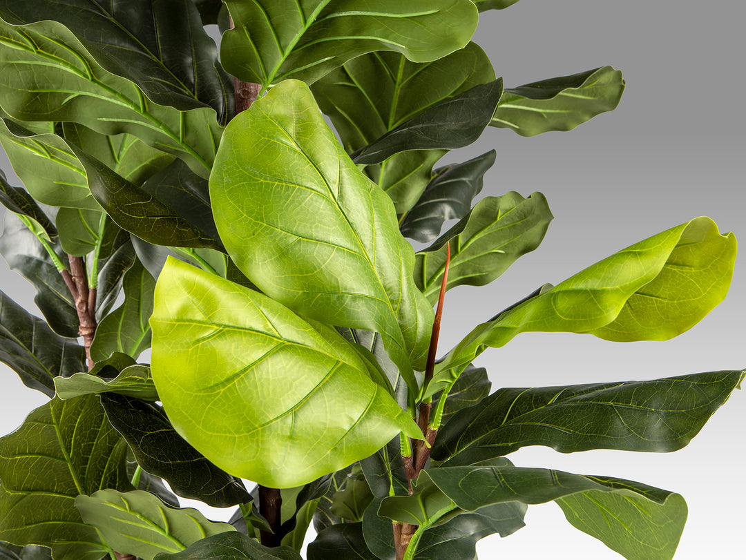 Planta artificiala Schuller Higuera Violin Ficus Lyrata 250 cm