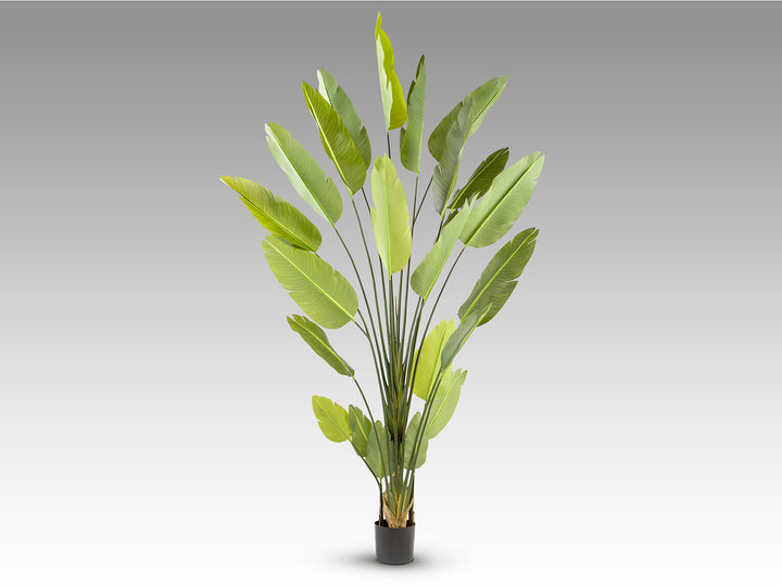 Planta artificiala Schuller Ave paraiso