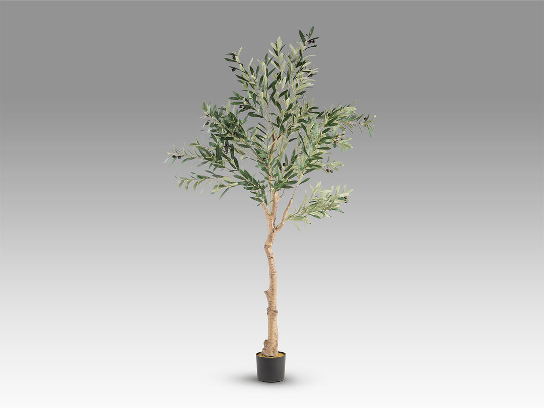 Planta artificiala Schuller Olivo