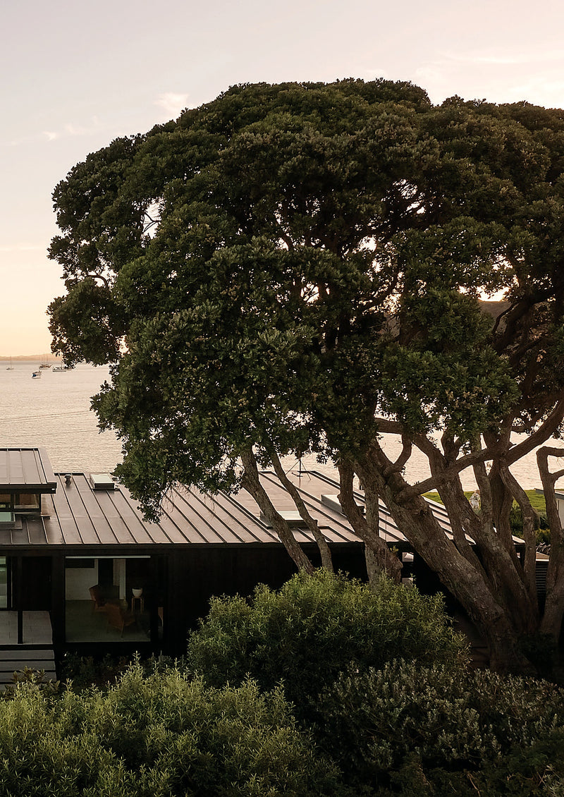 Waiheke Island — 4