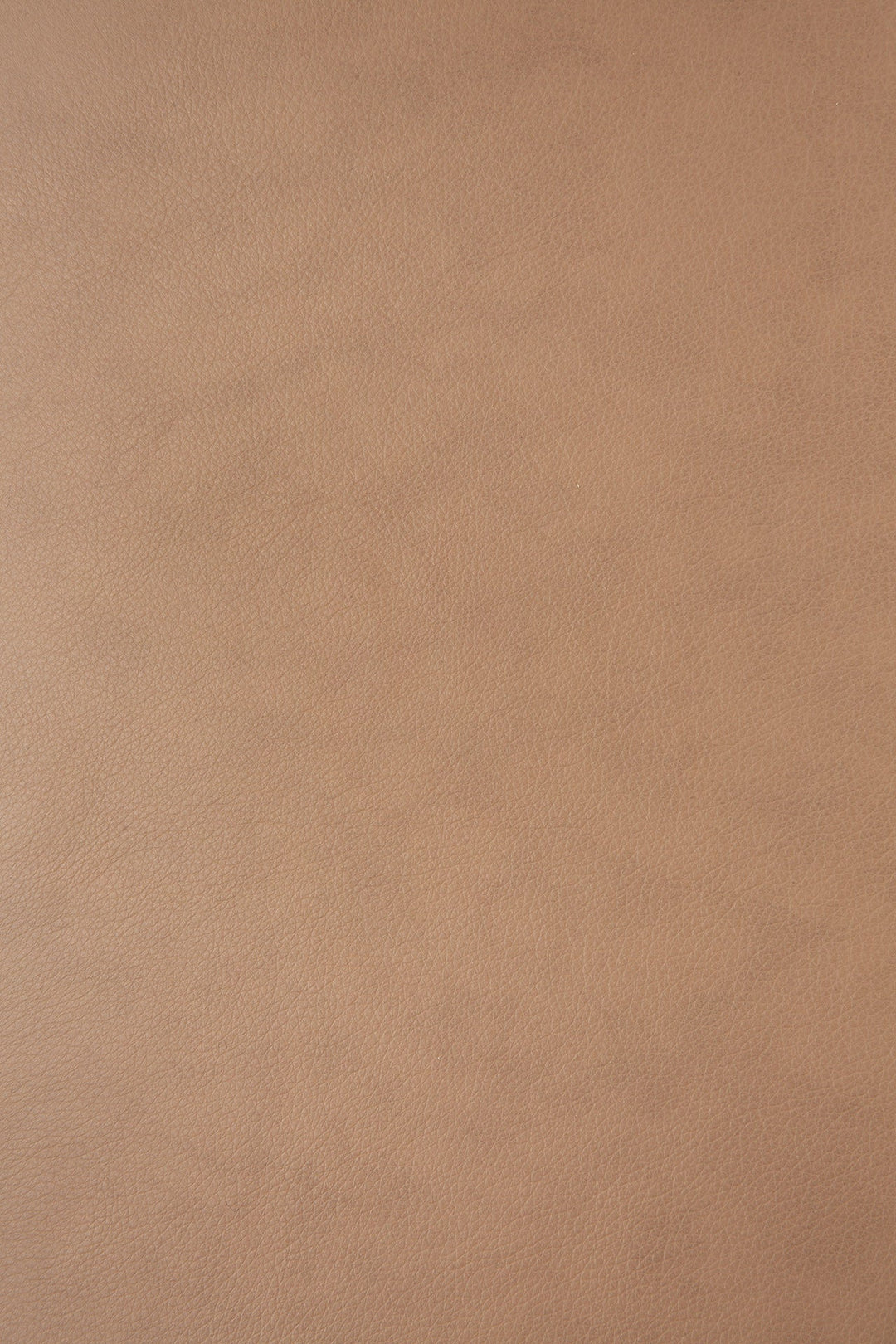 51483_Bok_dining_chair_varnished_oak_Sienna_leather_detail_cut_web_1.jpg