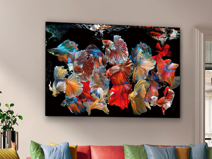 Tablou foto Schuller Peces Siam