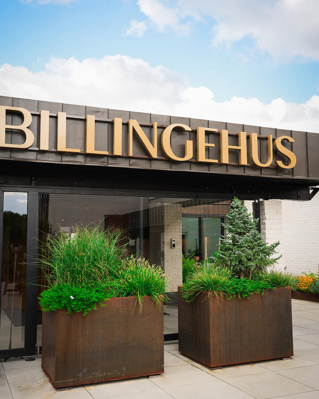 Hotel Billingehus — 5