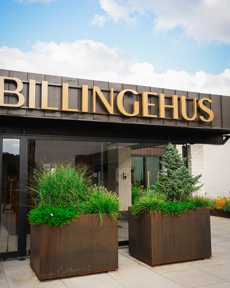 Hotel Billingehus — 5