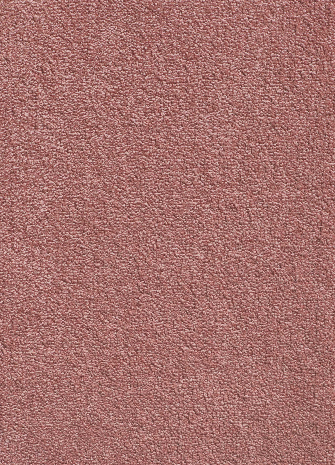 The Decorators: Covor Santos Monteiro Delicate