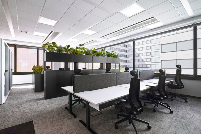 DSK Law Firm — 9
