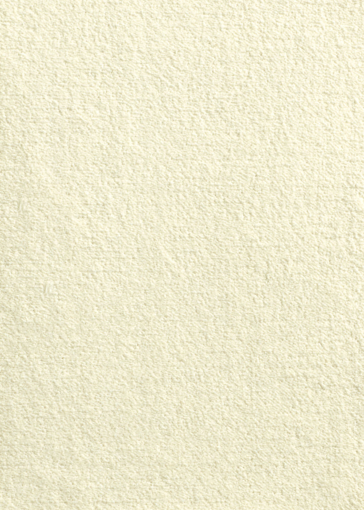 The Decorators: Covor Santos Monteiro Impression