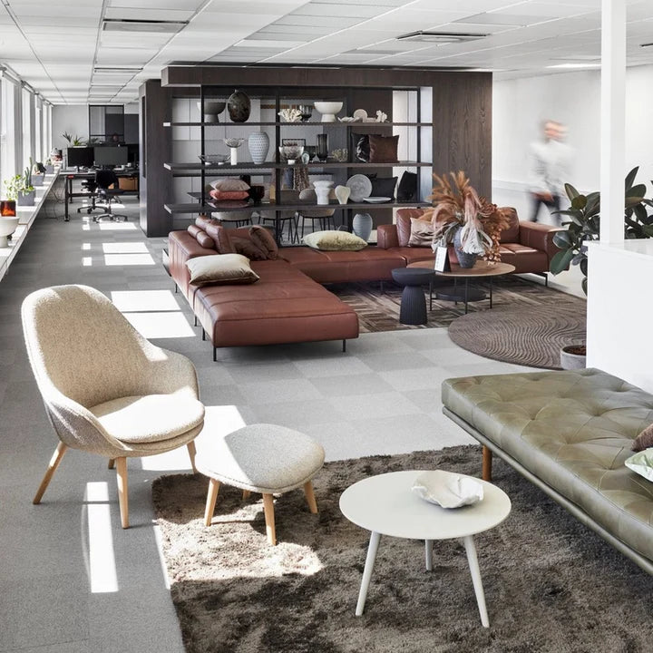 Proiecte Office