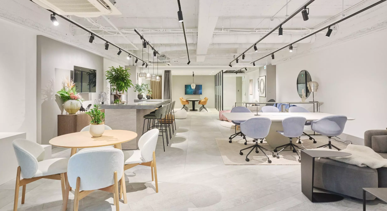 Proiecte Office