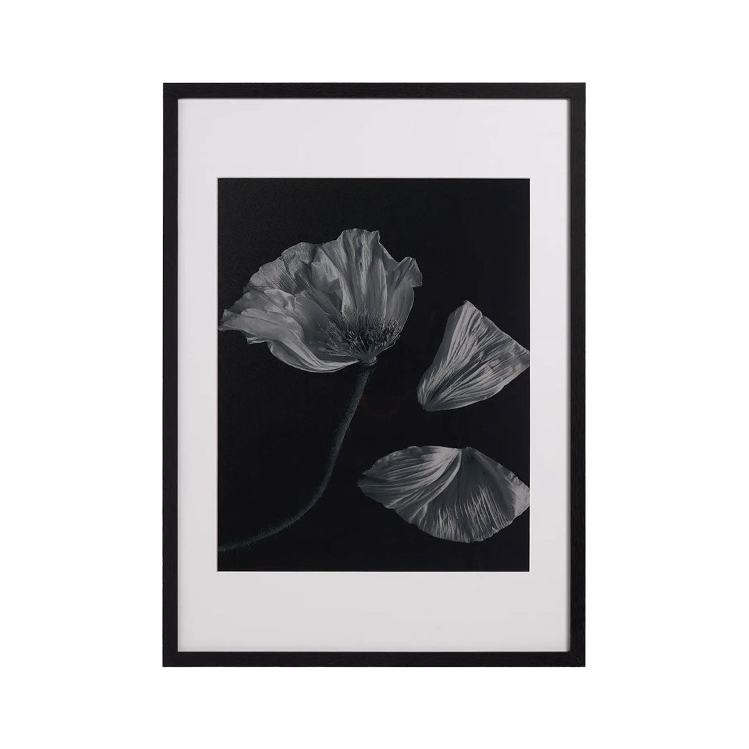 Tablou BoConcept Flora 2 BoConcept
