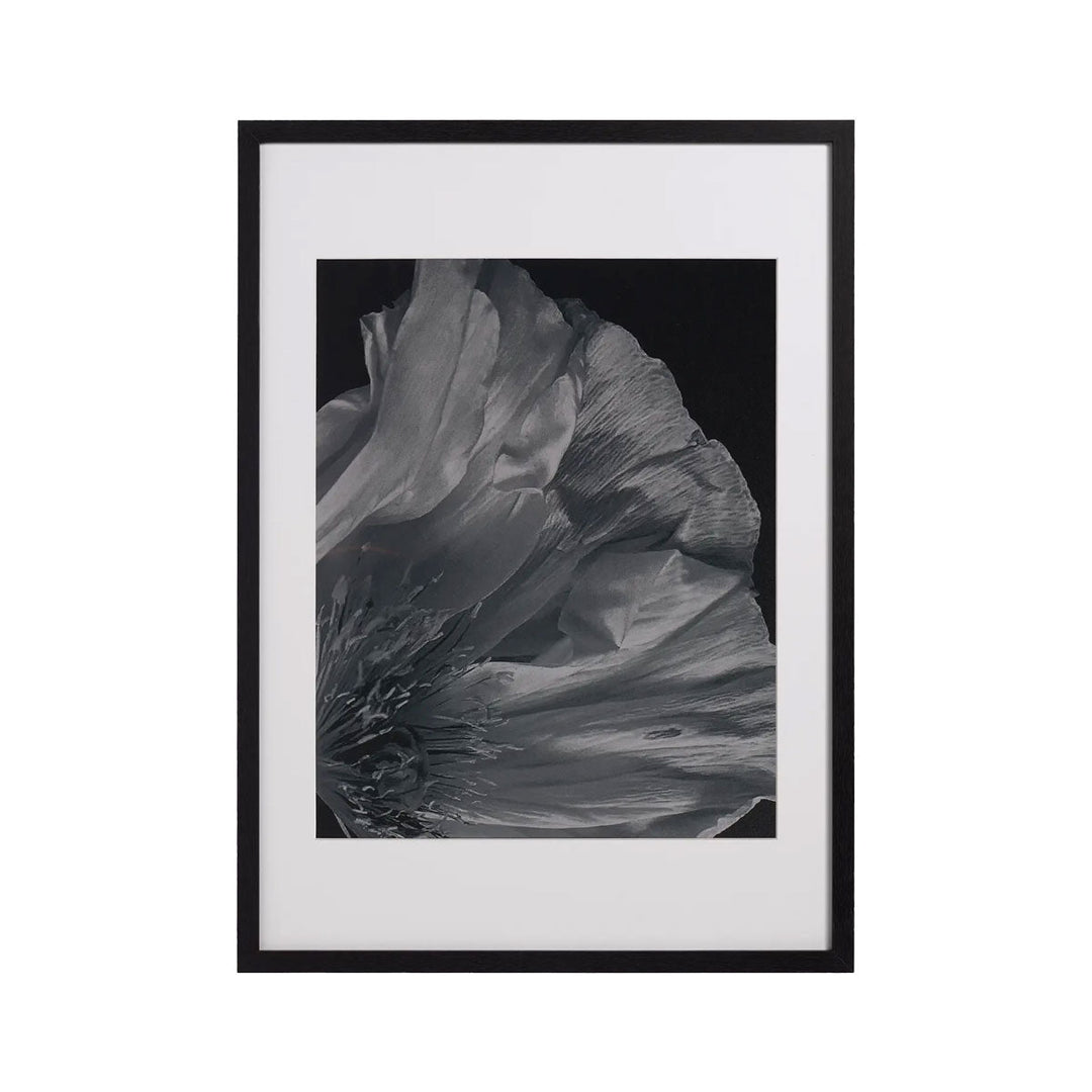 Tablou BoConcept Flora 3 BoConcept