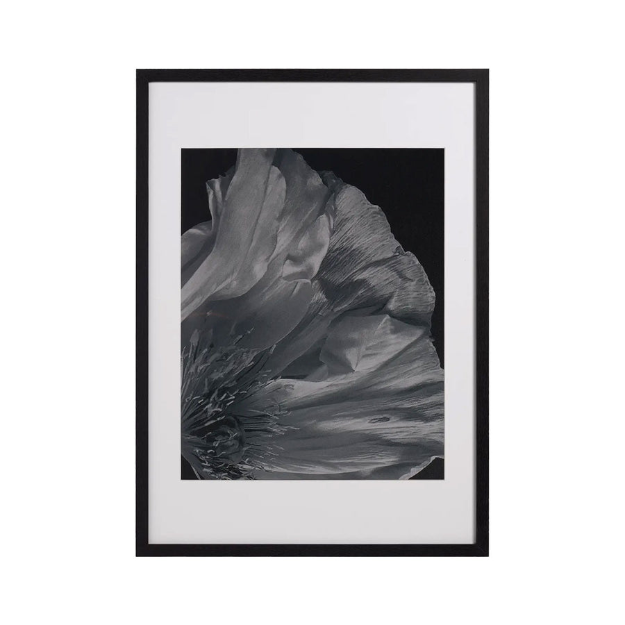 Tablou BoConcept Flora 3 BoConcept