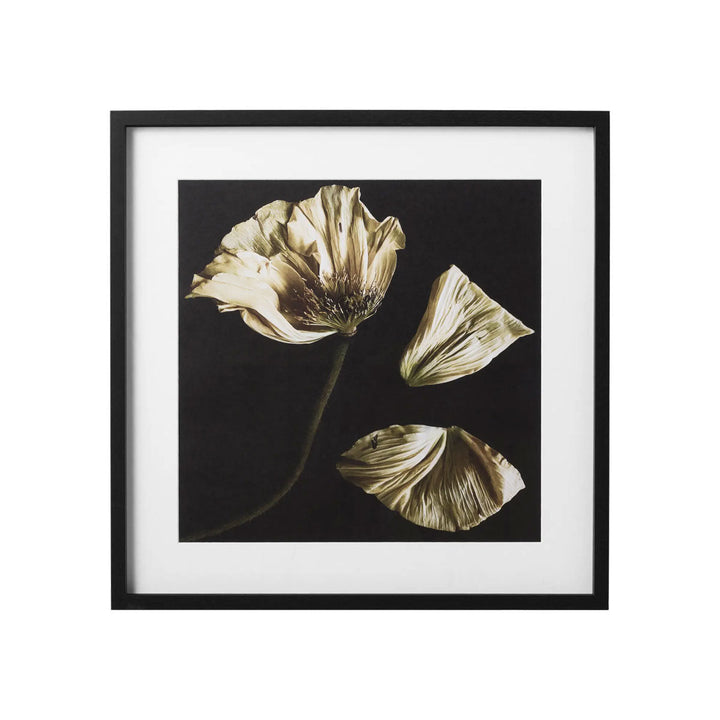 Tablou BoConcept Flora 8 BoConcept