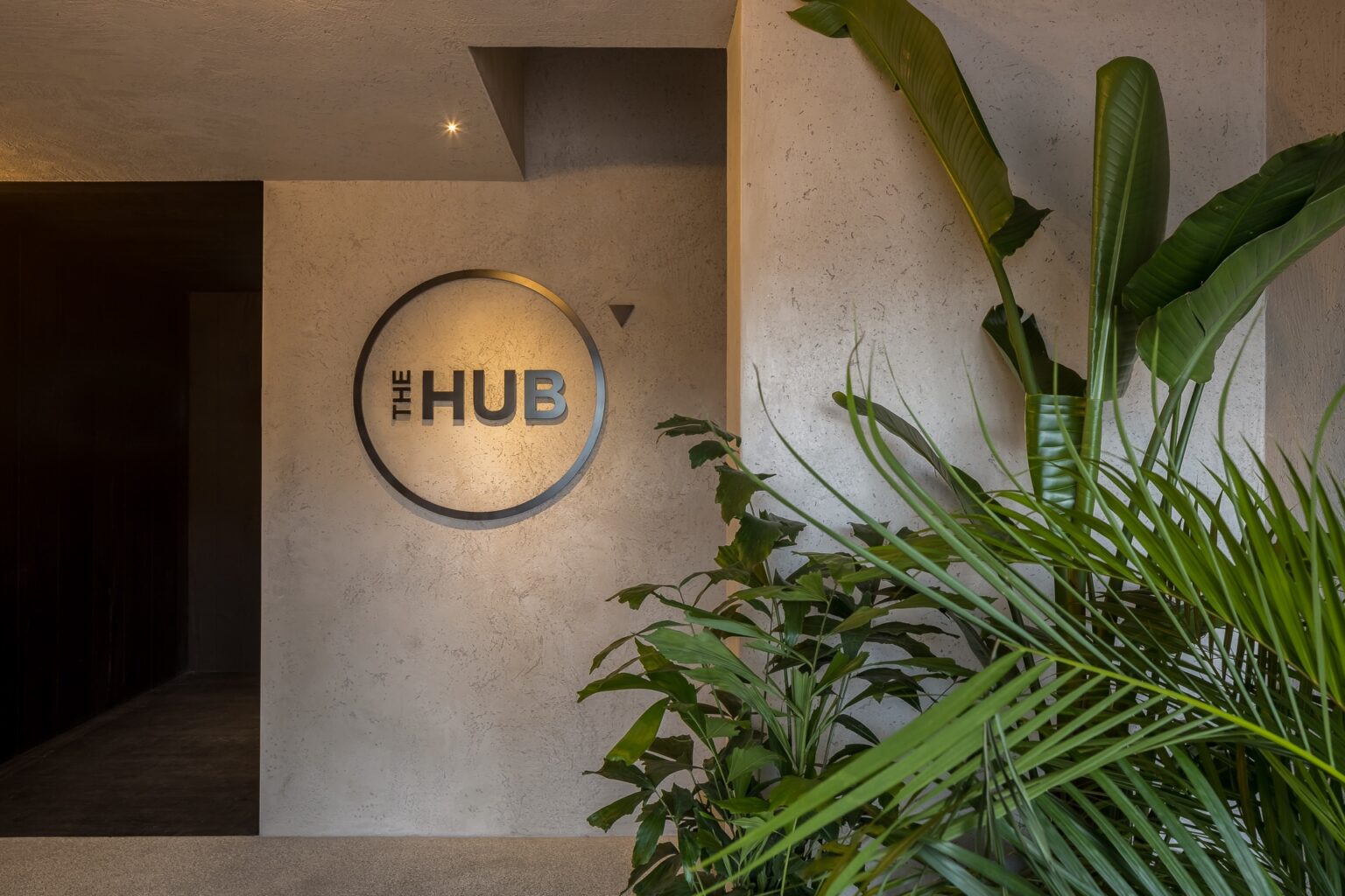 The Hub