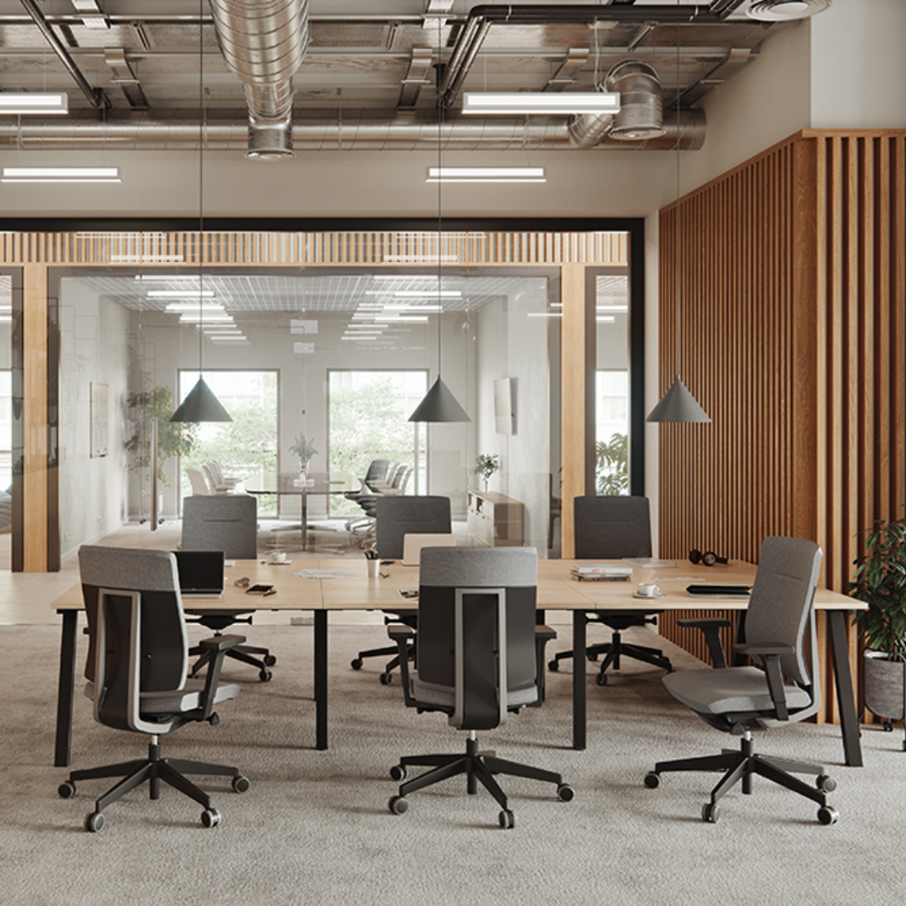 The Decorators: Scaun Profim Xenon 11 SL