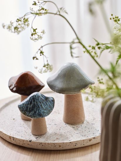 Sculptura Vox Ciupercute
