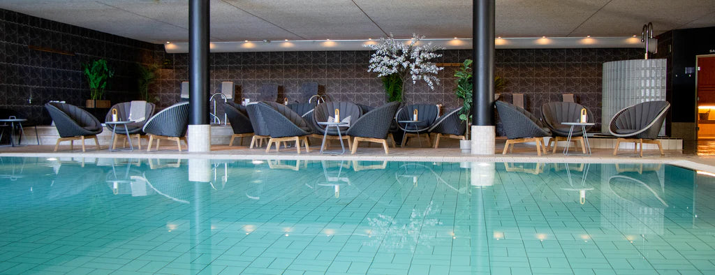 Proiect HoReCa Viking Hotel