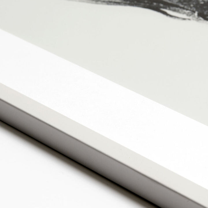 The Decorators: Tablou BoConcept Common Dandelion