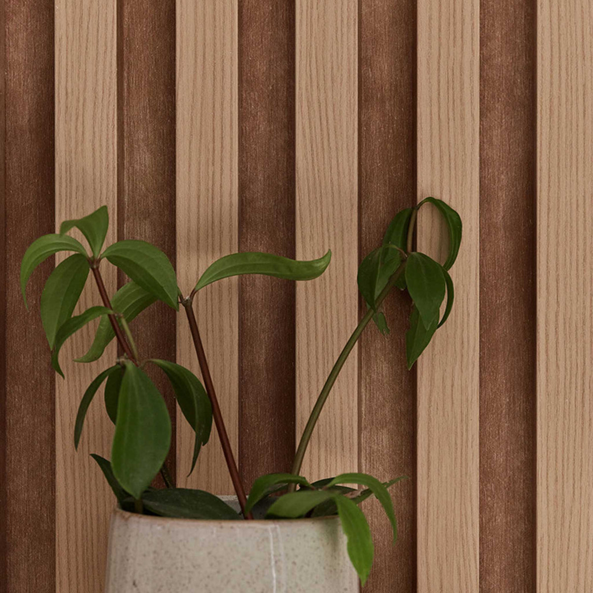 The Decorators: Riflaj decorativ Linerio, L-Line Natural, 1 buc