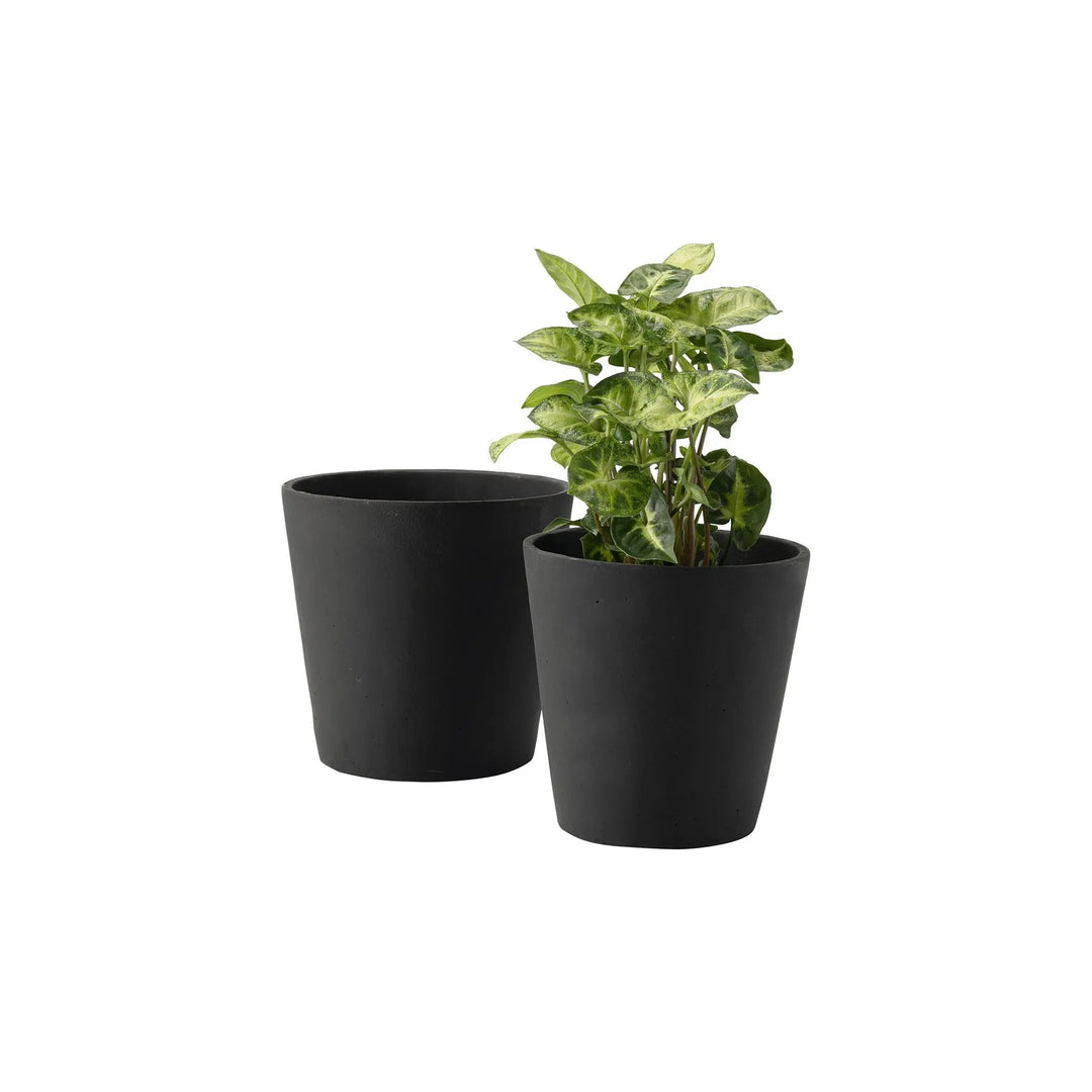 The Decorators: Ghiveci VOX Duno