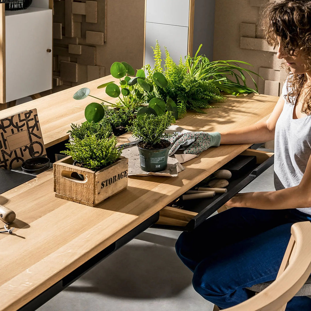 The Decorators: Masa dining VOX Nature 180x100cm