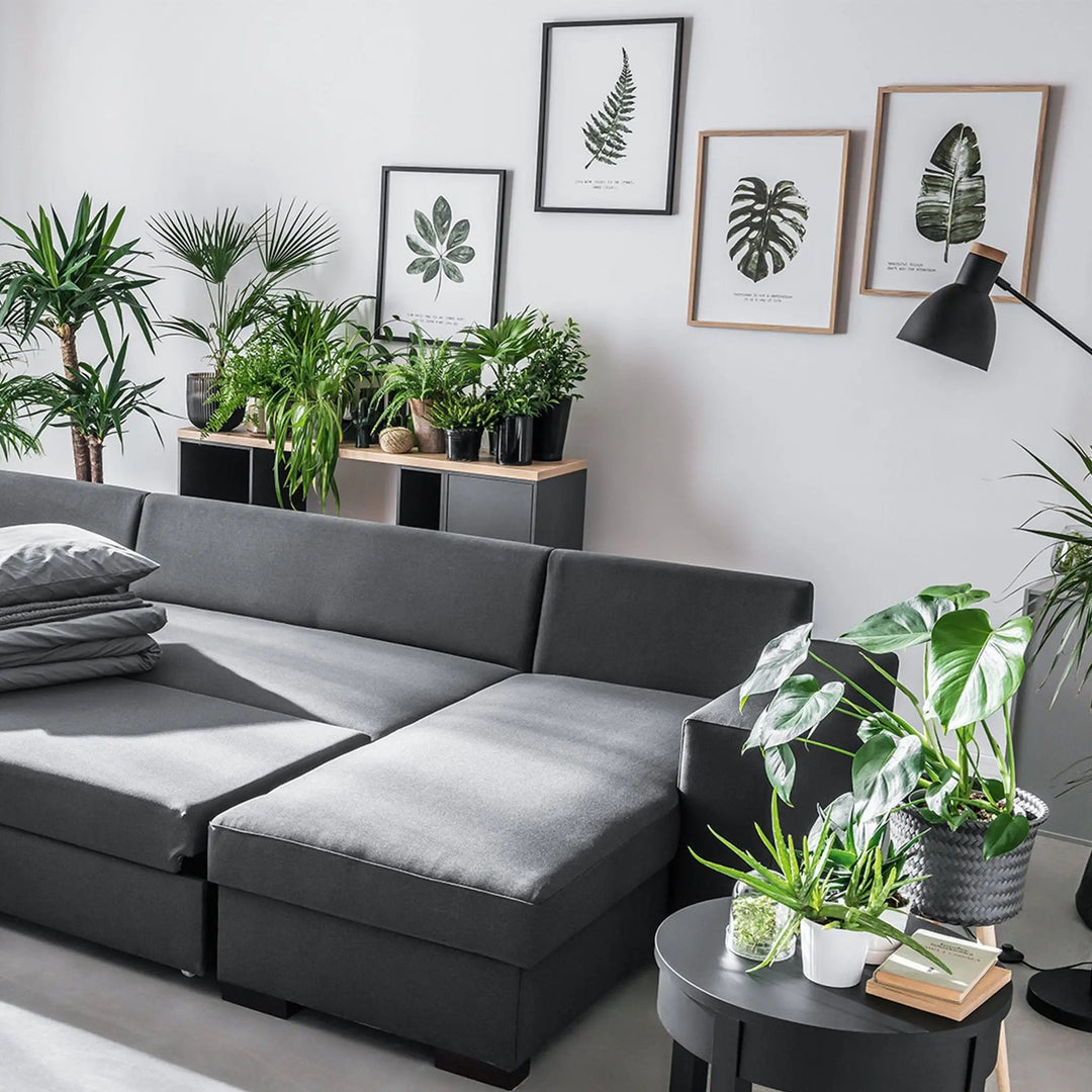 The Decorators: Tablou VOX Botaniq II
