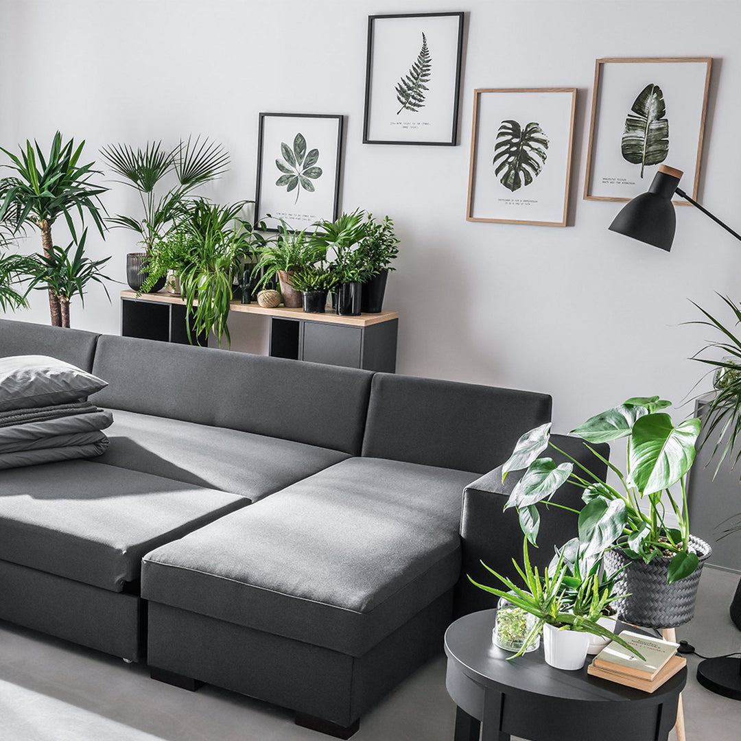 The Decorators: Tablou VOX Botaniq I